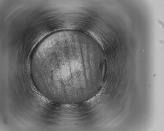 X0000096480835200802141720