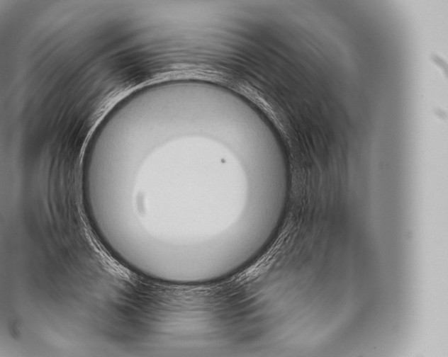 X0000096480836200802141720