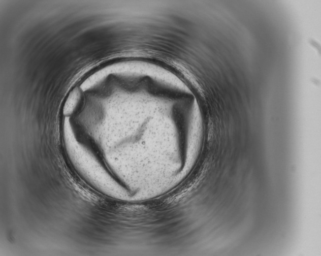 X0000096480837200802141720