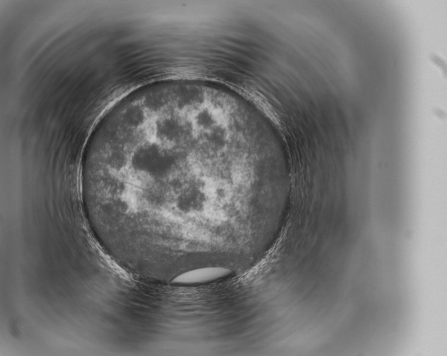 X0000096480839200802141720