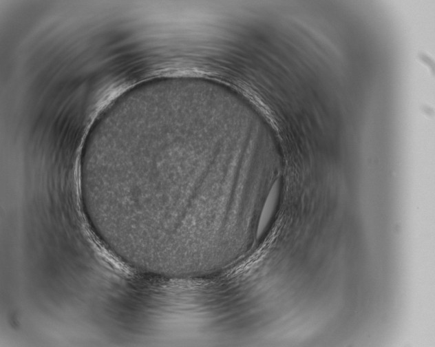 X0000096480840200802141720