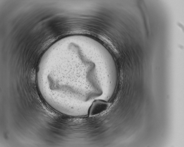 X0000096480841200802141720