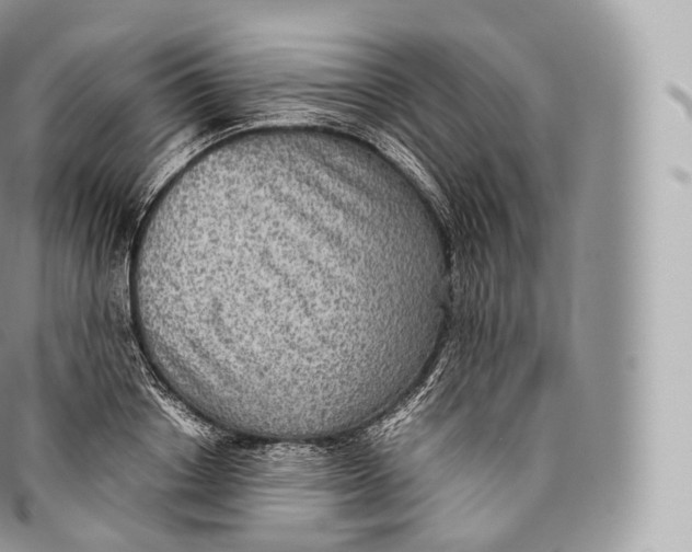 X0000096480842200802141720