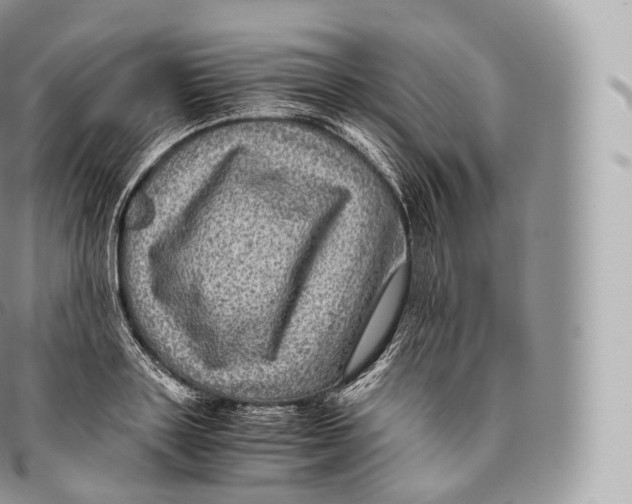 X0000096480843200802141720