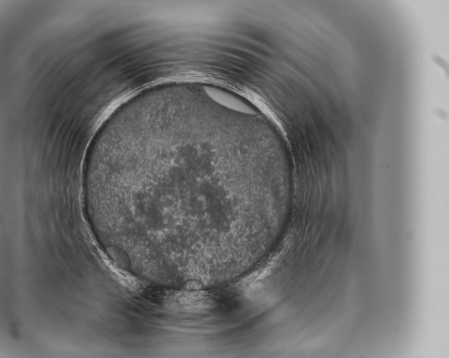 X0000096480845200802141720