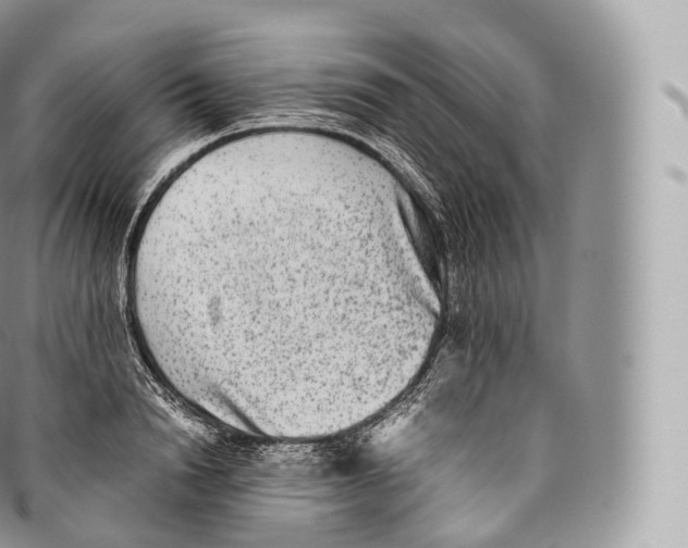 X0000096480846200802141720