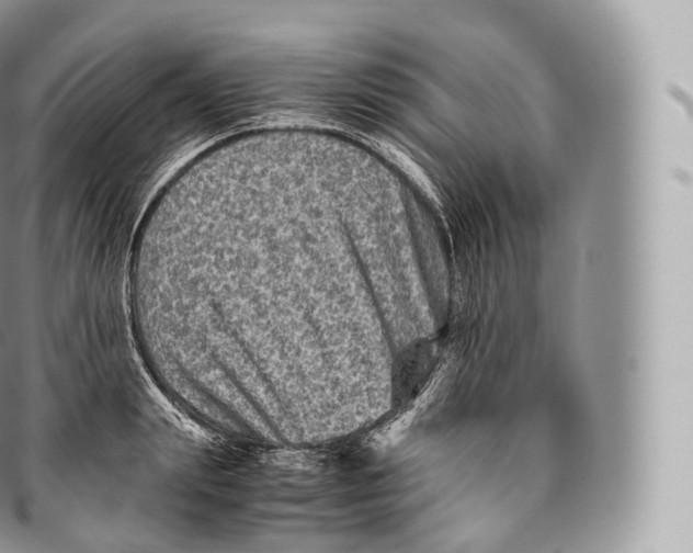 X0000096480847200802141720