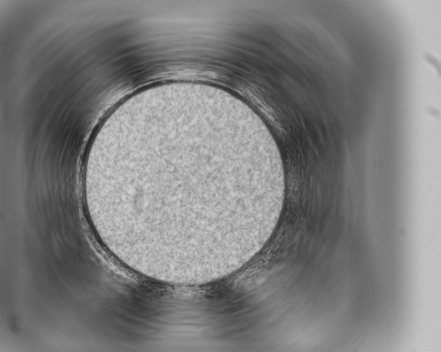 X0000096480848200802141720