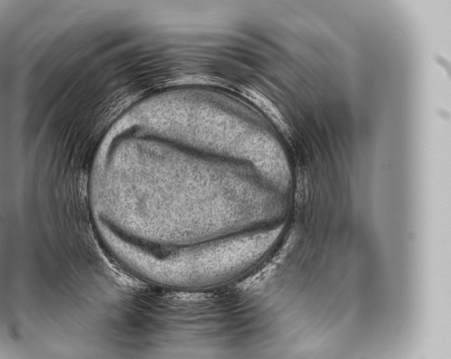 X0000096480849200802141720