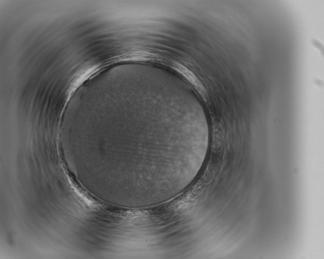 X0000096480850200802141720