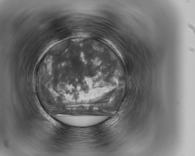 X0000096480851200802141720