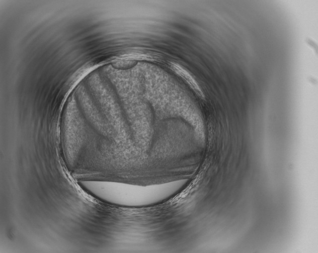 X0000096480852200802141720