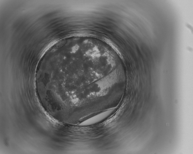 X0000096480853200802141720