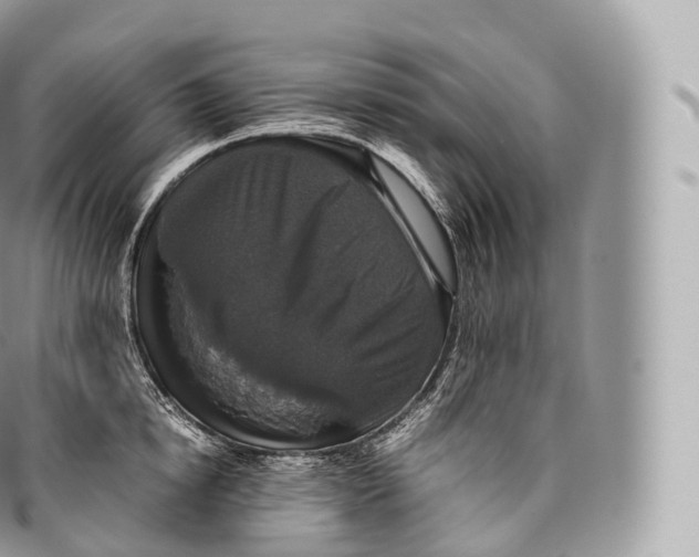 X0000096480854200802141720