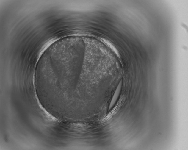 X0000096480855200802141720