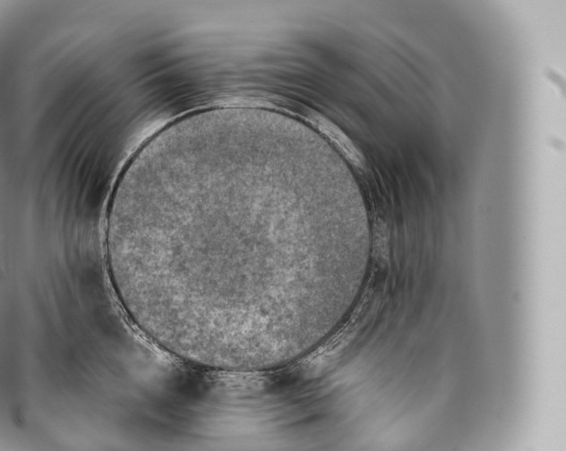 X0000096480856200802141720