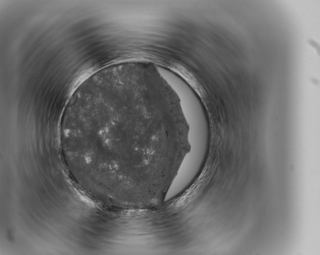 X0000096480858200802141720