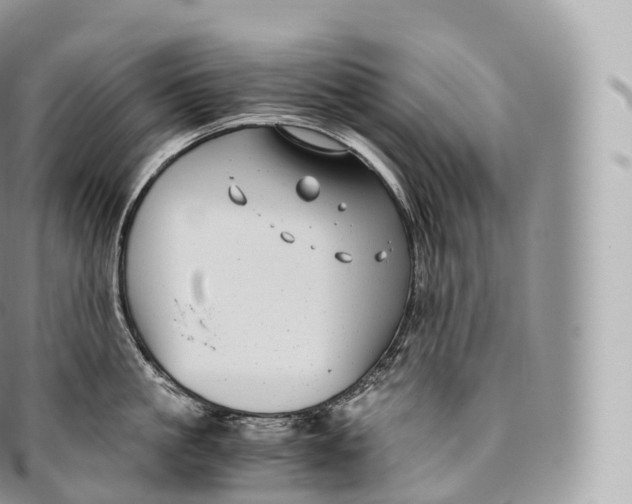 X0000096480861200802141720