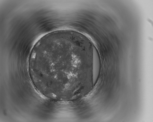 X0000096480862200802141720