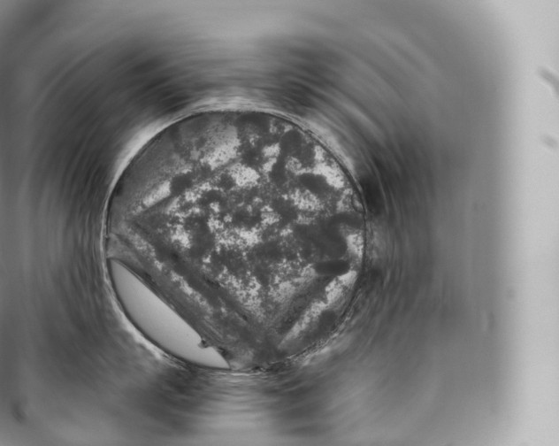 X0000096480863200802141720