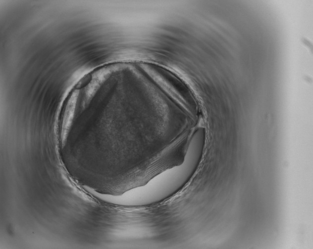 X0000096480864200802141720