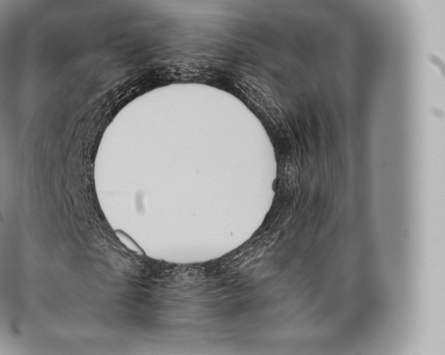 X0000096480865200802141719