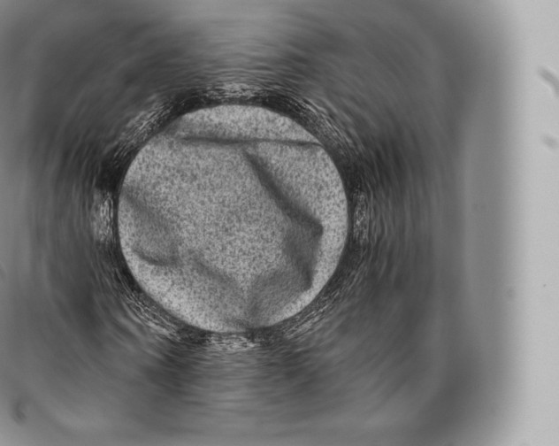 X0000096480866200802141719