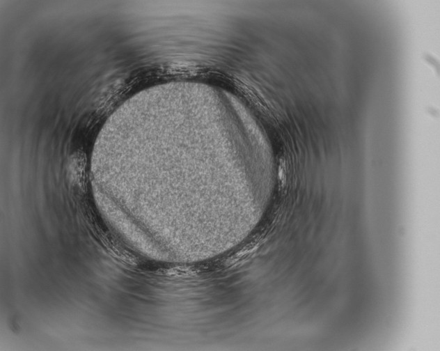 X0000096480867200802141719