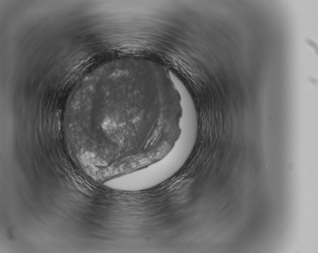 X0000096480868200802141719