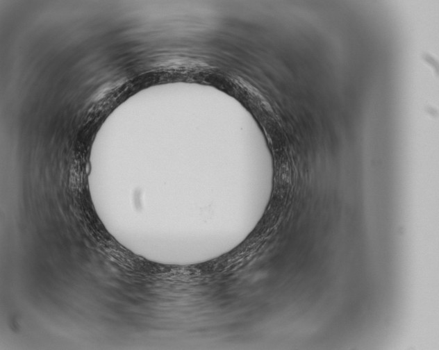 X0000096480869200802141719