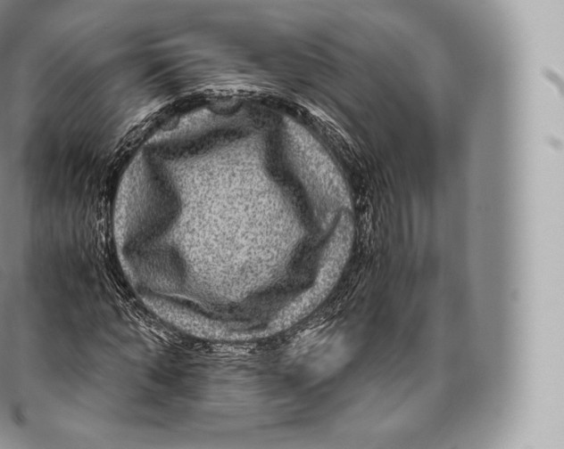 X0000096480870200802141719