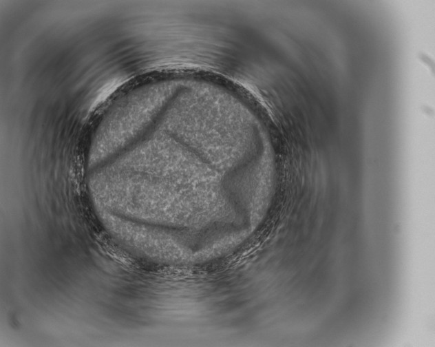 X0000096480871200802141719