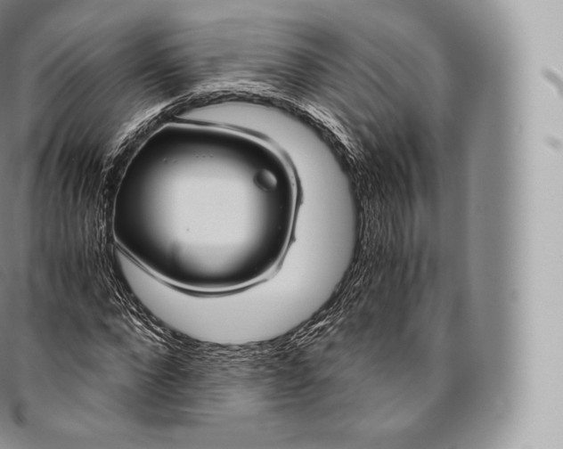 X0000096480872200802141719