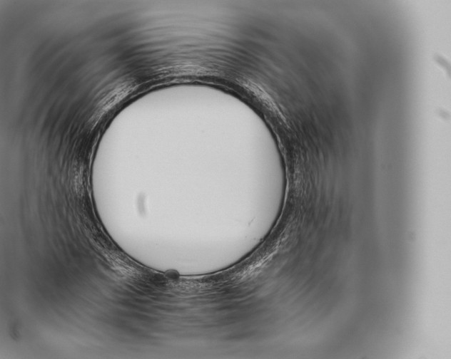 X0000096480873200802141719