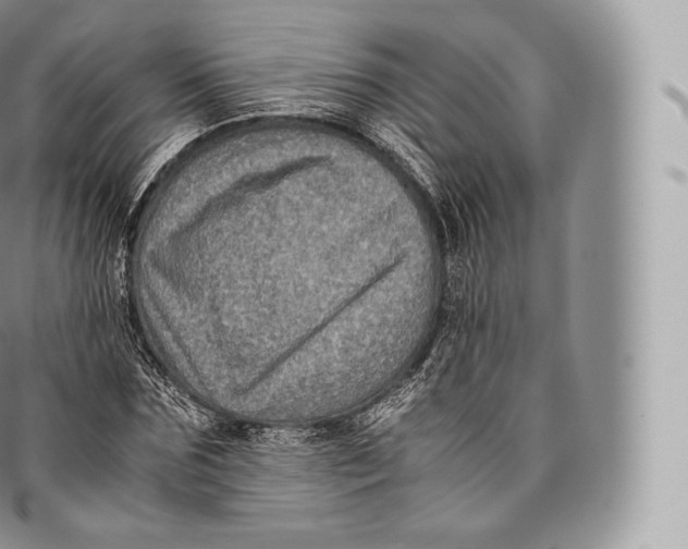 X0000096480875200802141719