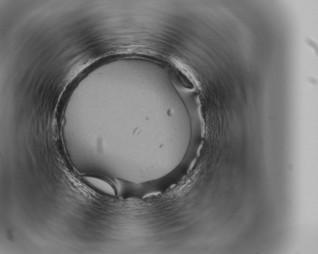 X0000096480876200802141719