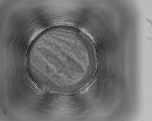 X0000096480877200802141719