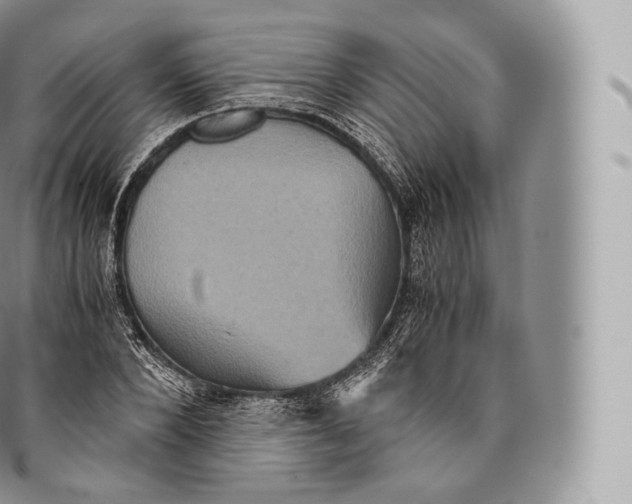 X0000096480880200802141719