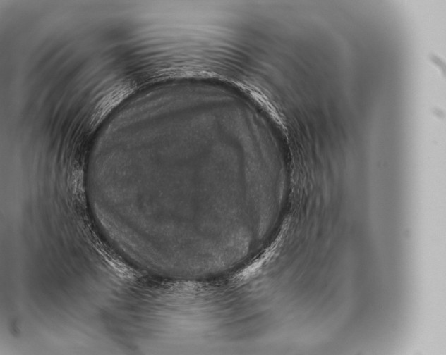 X0000096480881200802141719