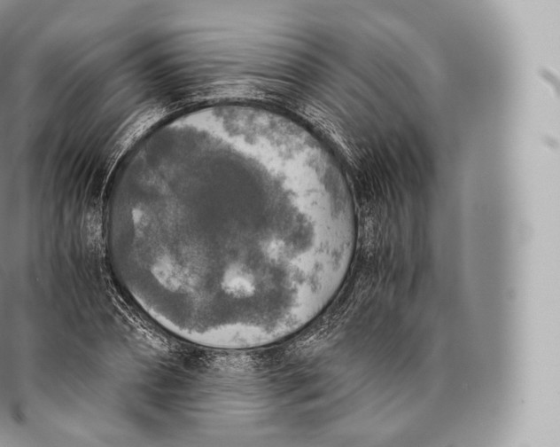 X0000096480882200802141719