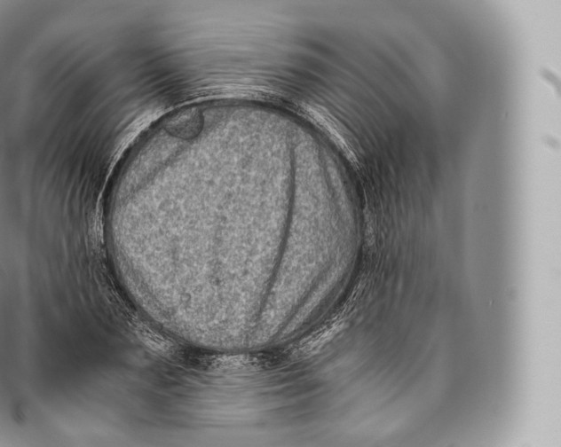 X0000096480883200802141719