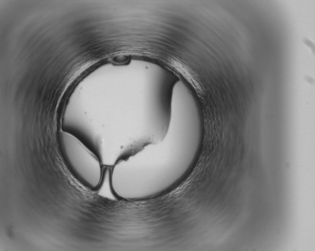 X0000096480884200802141719