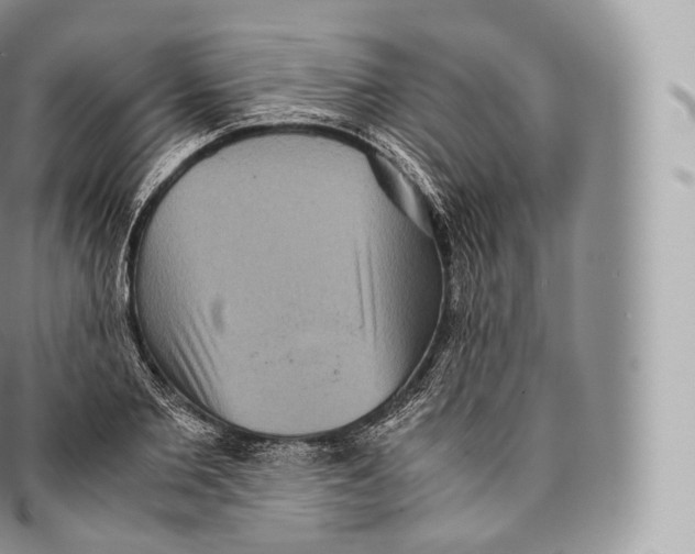 X0000096480885200802141719