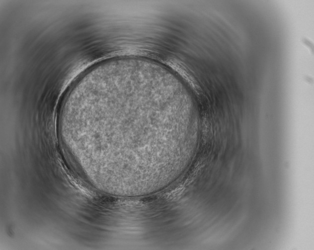 X0000096480886200802141719