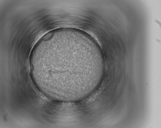 X0000096480887200802141719