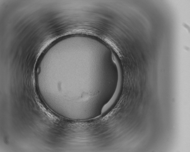 X0000096480888200802141719