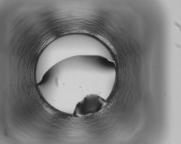 X0000096480889200802141719