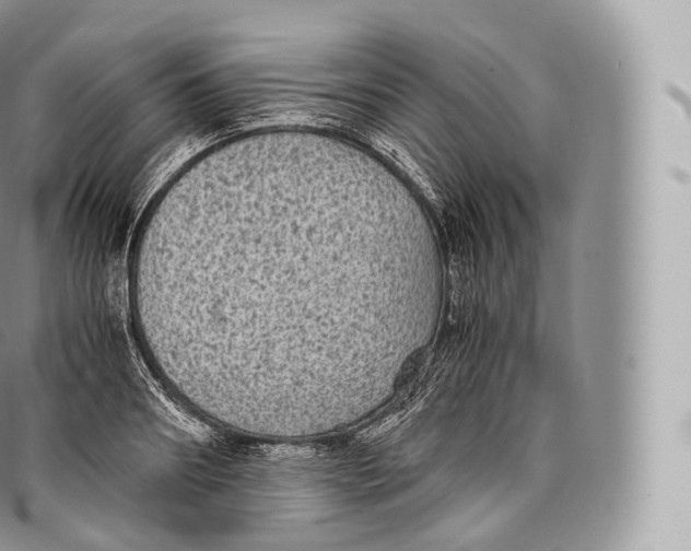 X0000096480890200802141719