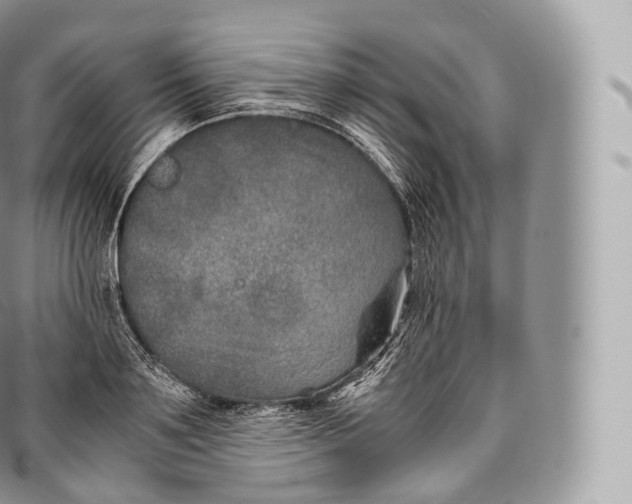 X0000096480891200802141719