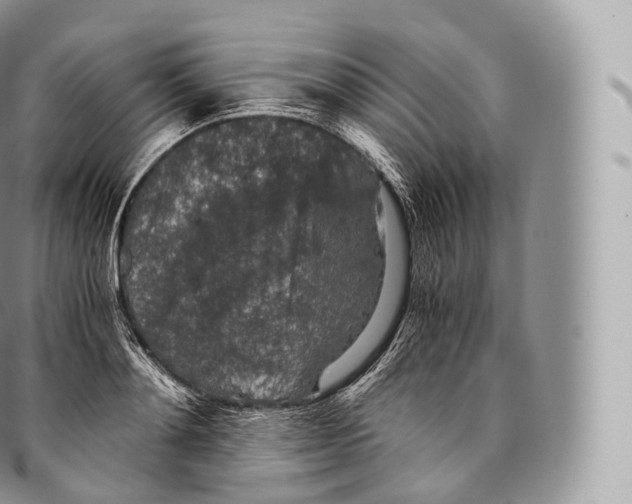 X0000096480892200802141719